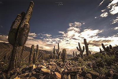 Contemplación, en el Pucará de Tilcara