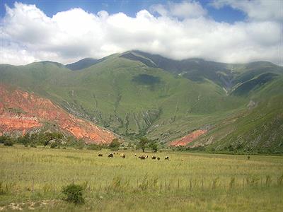 vallles de jujuy