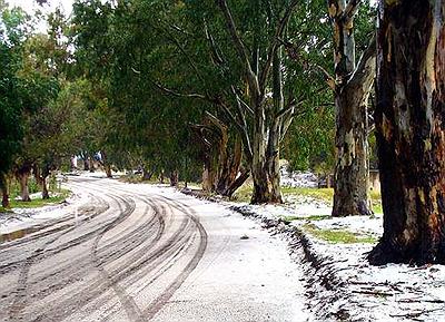 Inusual nevada de Mayo 2007