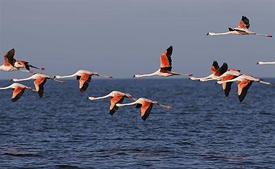 Parque Nacional Ansenuza