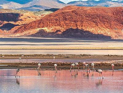 Laguna Carachi Pampa