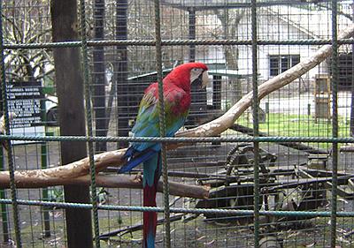 Mini Zoo del Paraíso