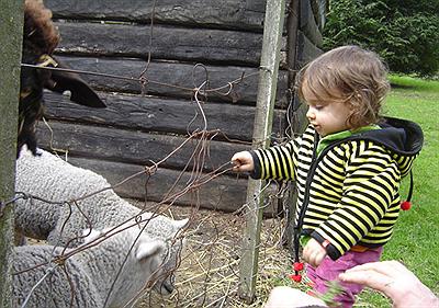 Fauna autóctona del Zoo