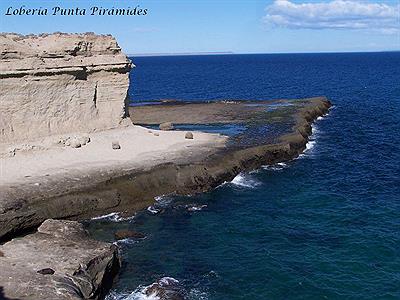 Loberia Puerto Pirámides