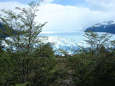 Panoramica del glaciar