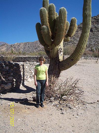 Cardon (Crece 2 cm por año)