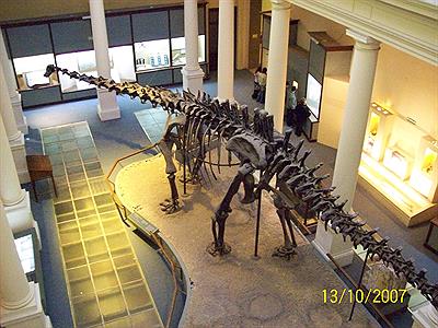 Museo de Ciencias Naturales