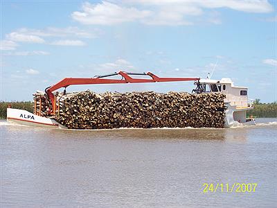 Barco Maderero-Alsina-Ptdo. de Baradero