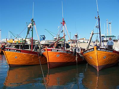 Barcas Pescadoras