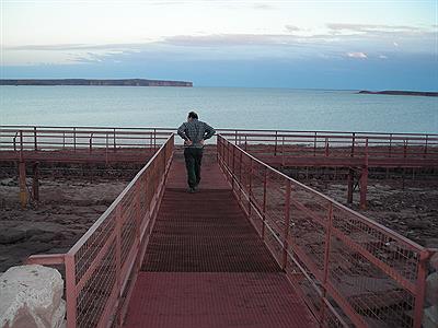 En busca de los dinosaurios