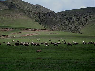 PAISAJE DE TAFI