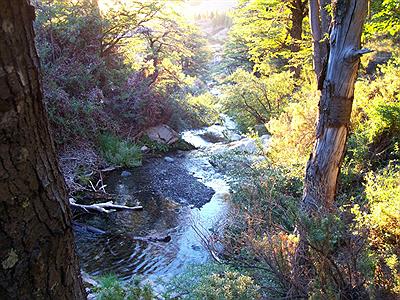 cascado en La Hoya
