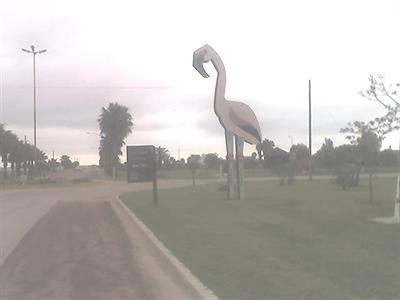 ENTRADA MIRAMAR FLAMENCO