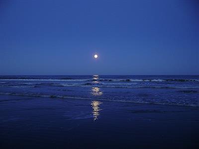 Anochece en aguas verdes