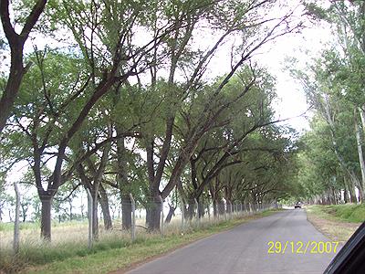 Camino de la laguna.