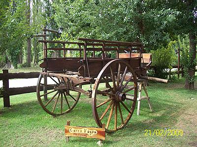 Camino del Jaguel-Carreta