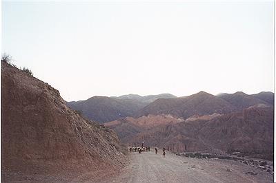 MUJER COLLA CON OVEJAS