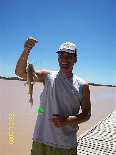 Pesca Bagre Amarillo