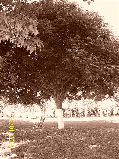 Club Anzuelo-Arboleda