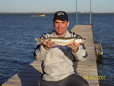 Peje de 1,2 Kg. y 51 cm.