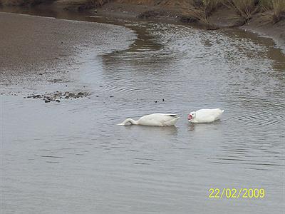 Estación biológica Punta Rasa