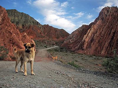 Purmamarca - "Los colorados walk"