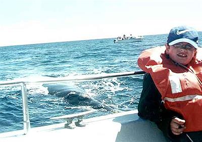 Ballena por debajo de la embarcación