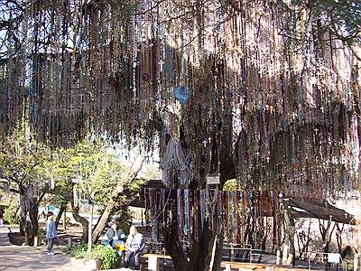 Virgen de los Milagros-Salta