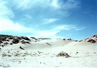 Caminata por los médanos de Puerto Pirámide