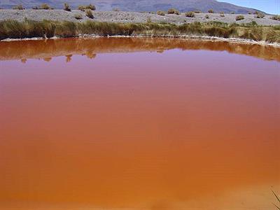 ojo de agua color rojo camino a Antofalla