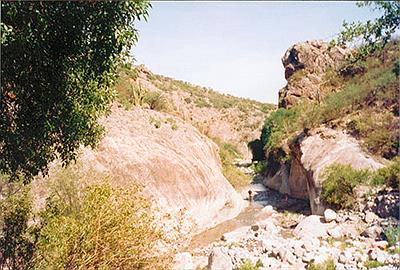 Rio Poman