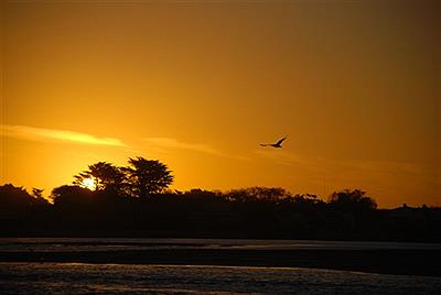 Atardecer en la laguna