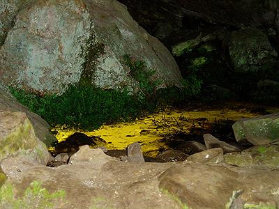 Aguas dorados en la cueva Plateada