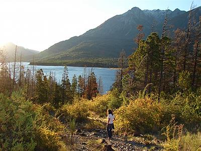 Lago Epuyén