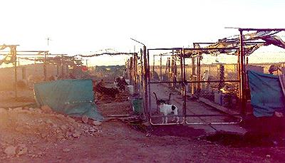 esto tambien es pigue