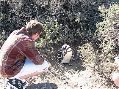 Reserva de Pinguinos