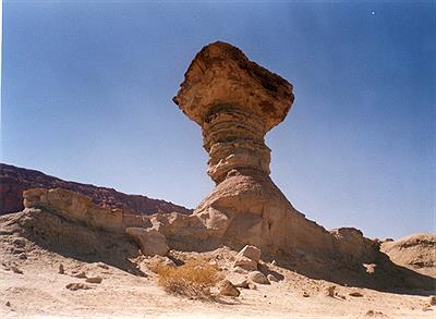 El Hongo (Valle Fertil)