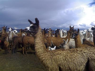 señalada una experiencia