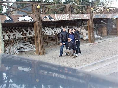 Amigos... Pto. Madryn (Chubut)