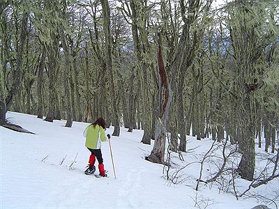Caminata con Raquetas