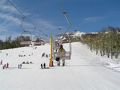 Telesilla Chapelco