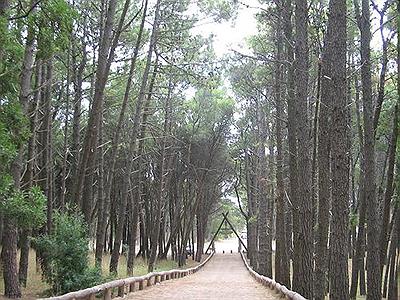 Vivero Dunícola Florentino Ameghino