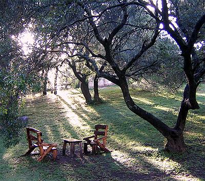 BOSQUECITO DE CABAÑAS LAS ARDILLAS