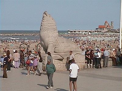 Tradicional Lobo Marino de la rambla marplatense