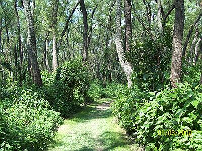 Parque Nacional Predelta