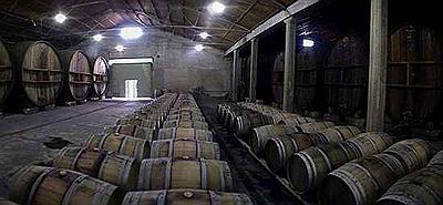 Bodegas Suter