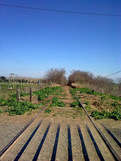 Cruce ferrocarril -Lag. Lobos/Salvador Marìa