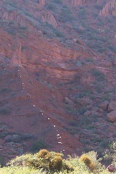 Quebrada del Rio Las Conchas - El Monje