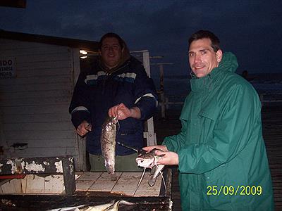 Limpiando brotolas-Muelle