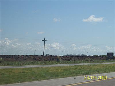 Feedlot (R.11 cerca de esquina de Crotto)